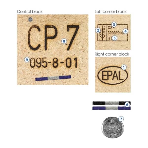 European Standard CP7 Pallet - Image 3